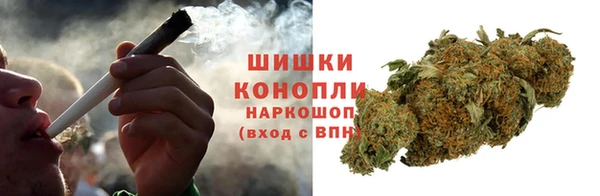 сатива Пролетарск