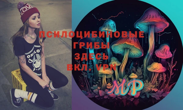 гидропоника Краснослободск
