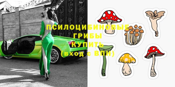 прущие крисы Красноперекопск