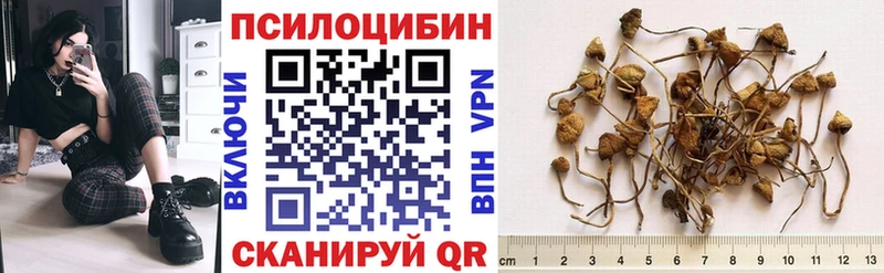 Галлюциногенные грибы MAGIC MUSHROOMS  Купить где  Ахтубинск 